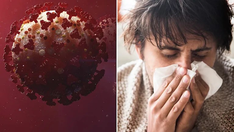 Två nya coronavarianter är i&nbsp;omlopp